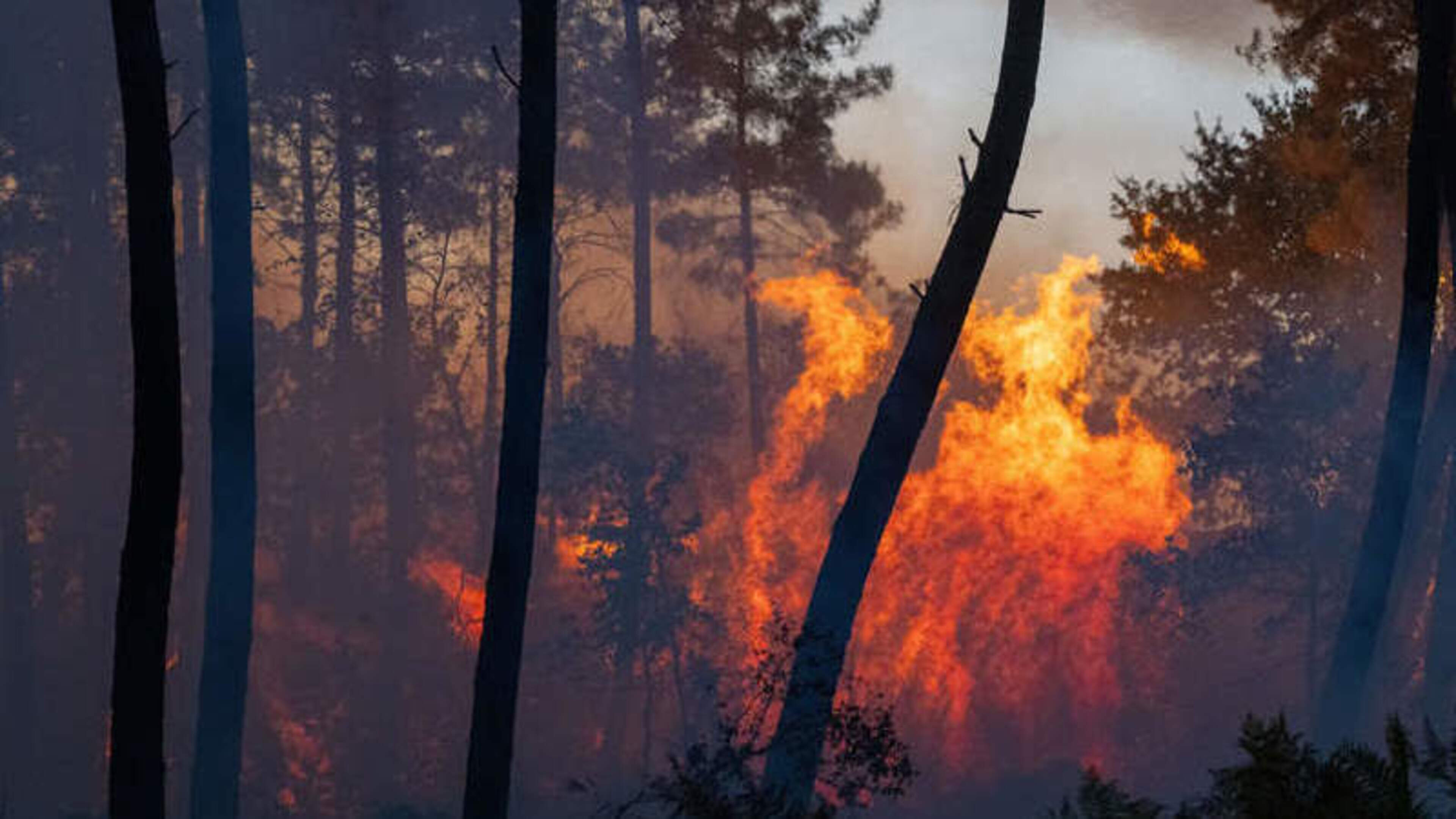 Wildfires Displace Thousands in France and Spain