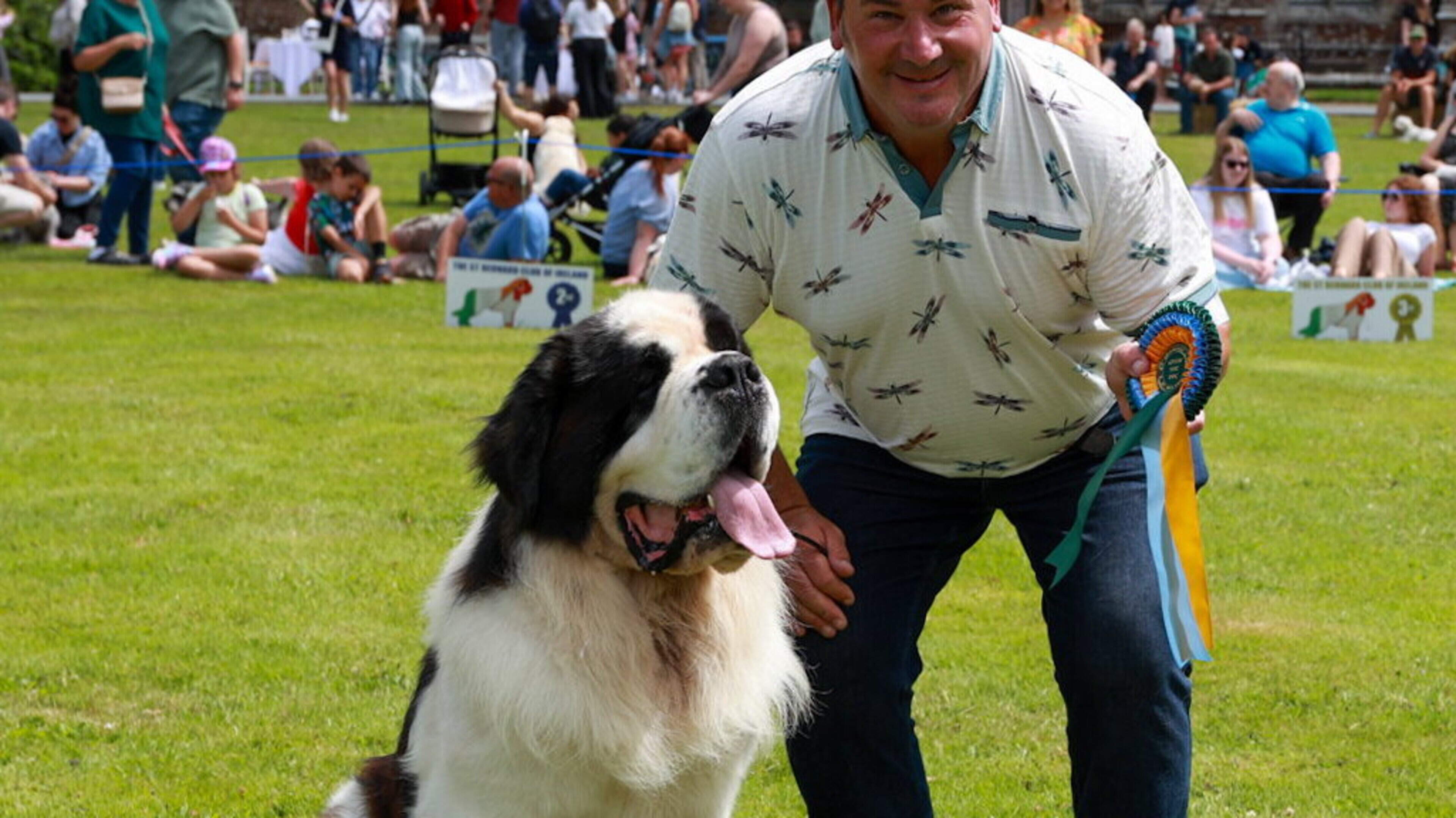 Wexford Hosts Inaugural Doggie Day Out Event