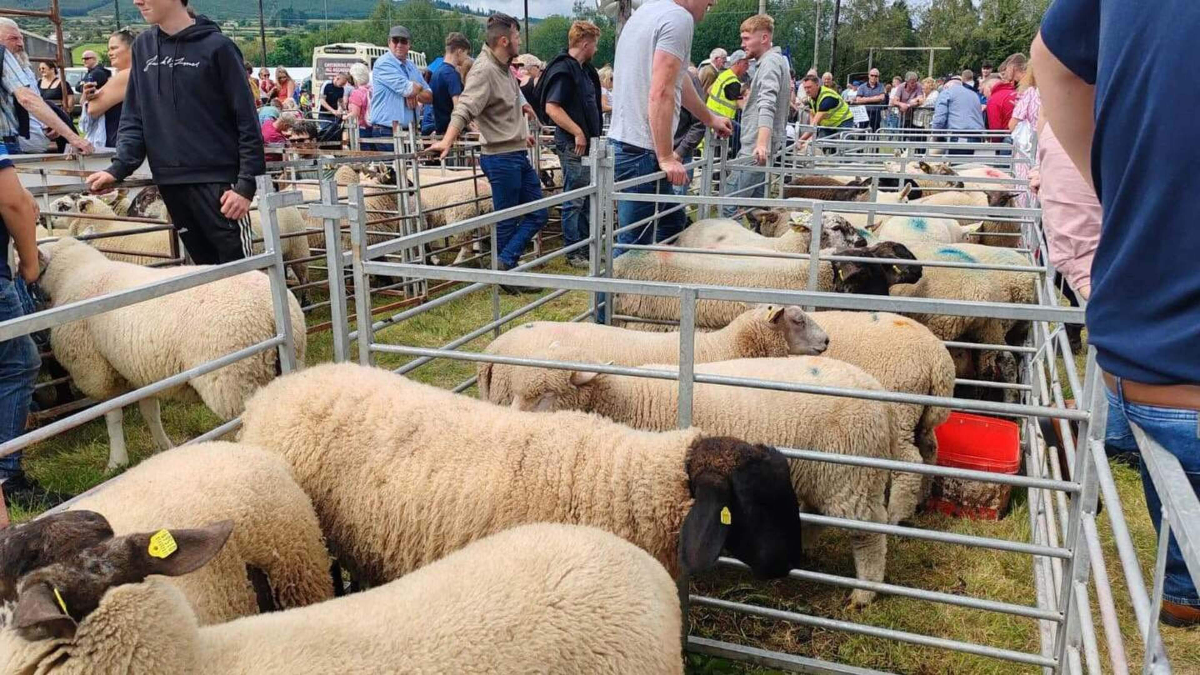 Roundwood Agricultural Show Returns on August 1