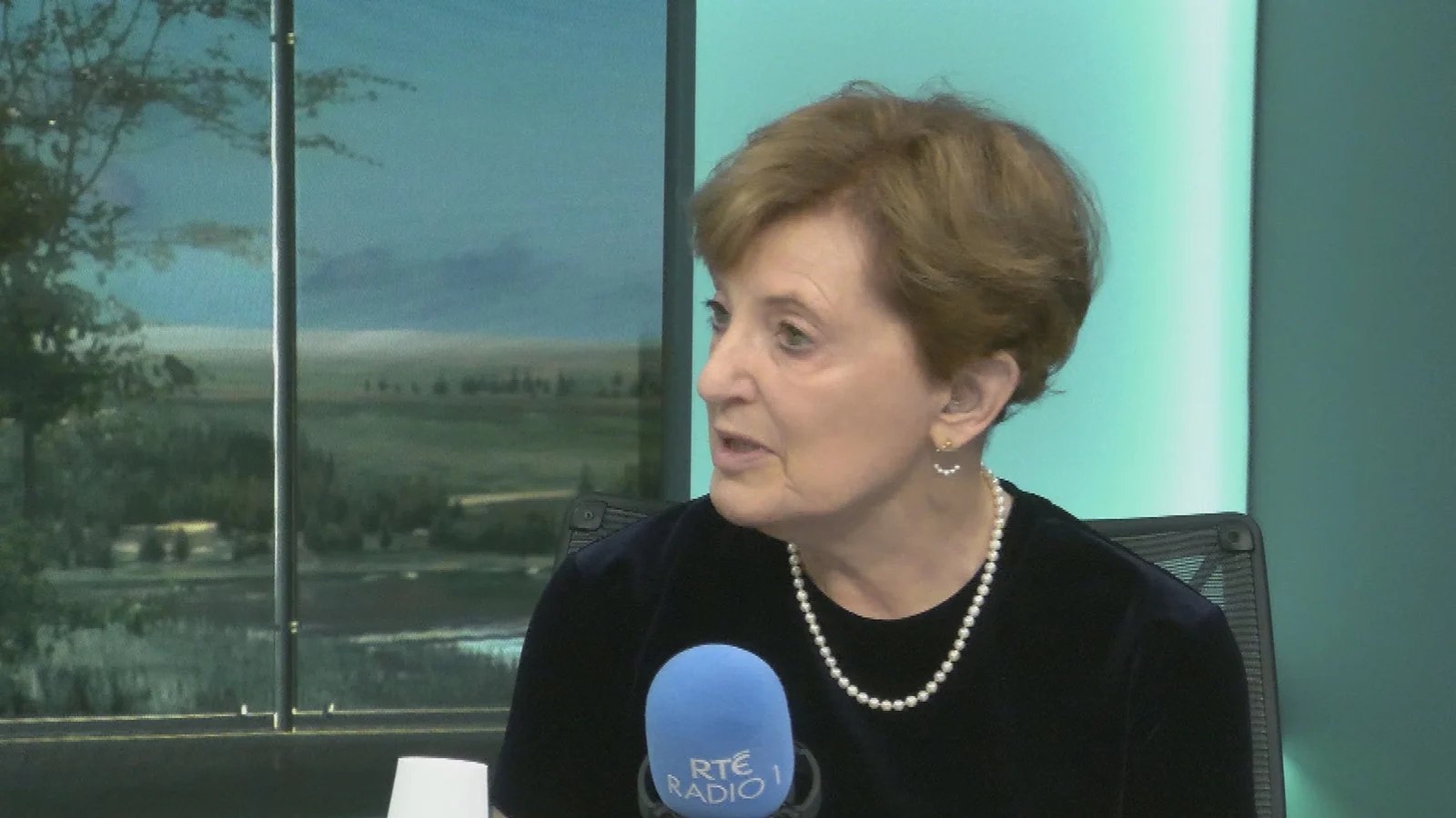 Former minister calls for pause to Bessborough build