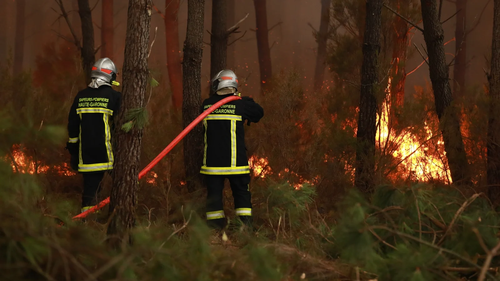 Wildfires Rage in France and Spain