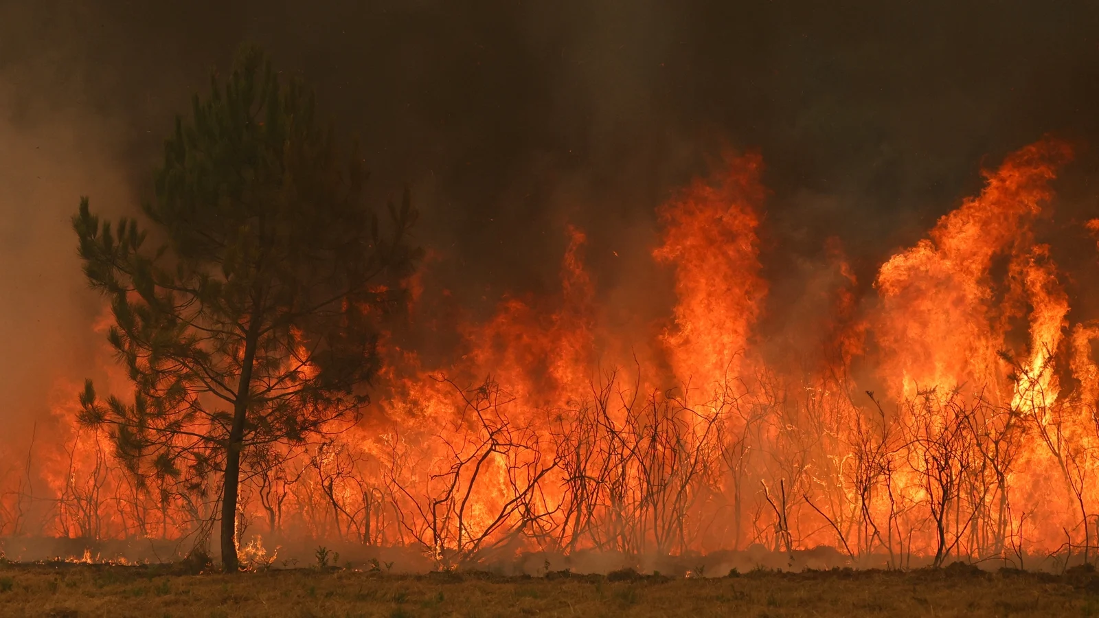 Irish Woman Describes French Wildfires as Apocalypse