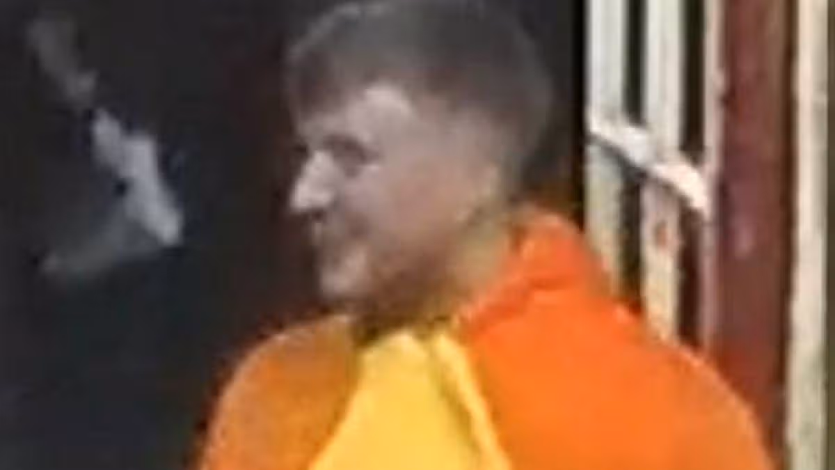 Police seek man in lobster costume after assault