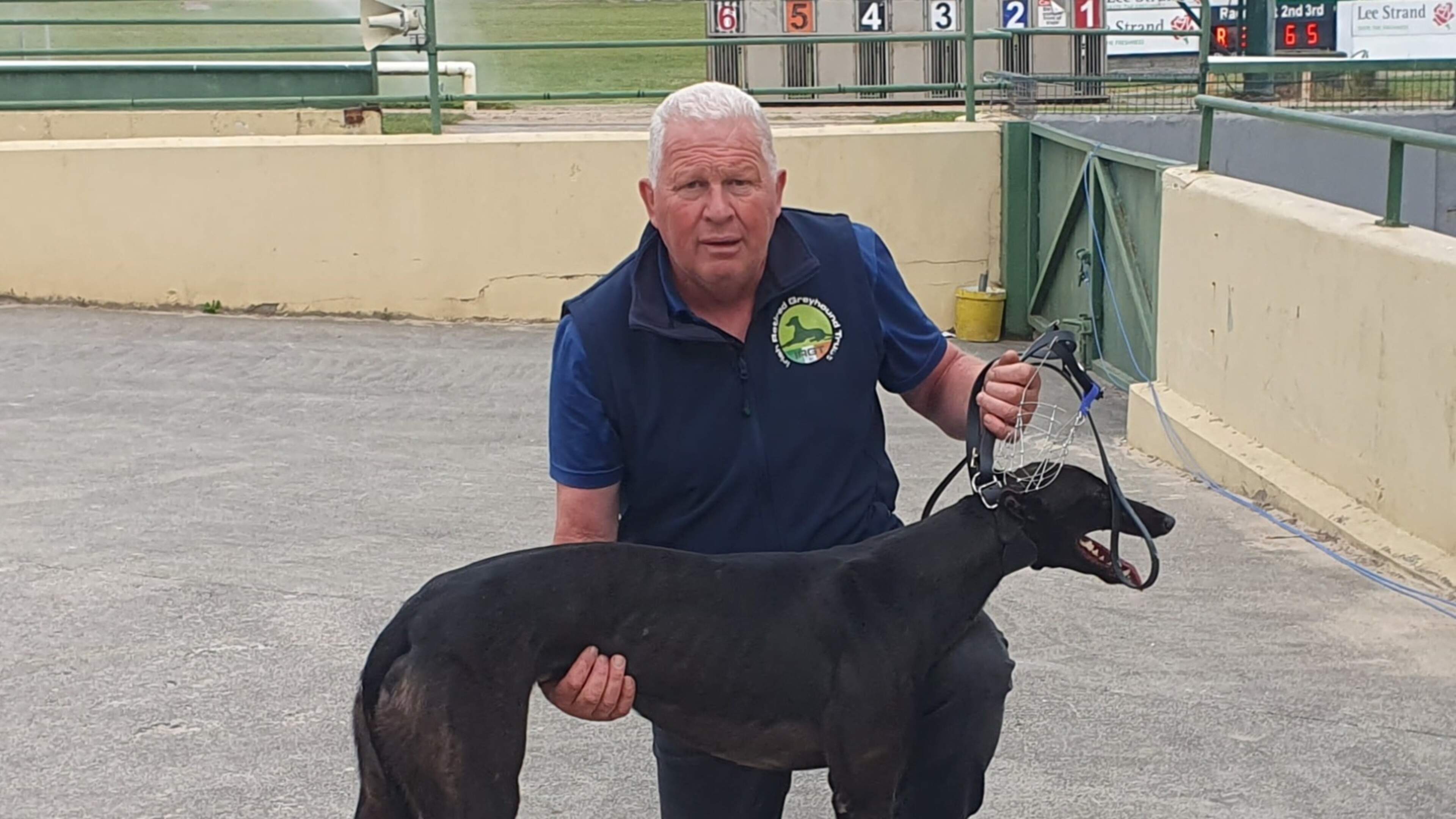 Ballymac Scheff Finishes Third in Puppy Derby