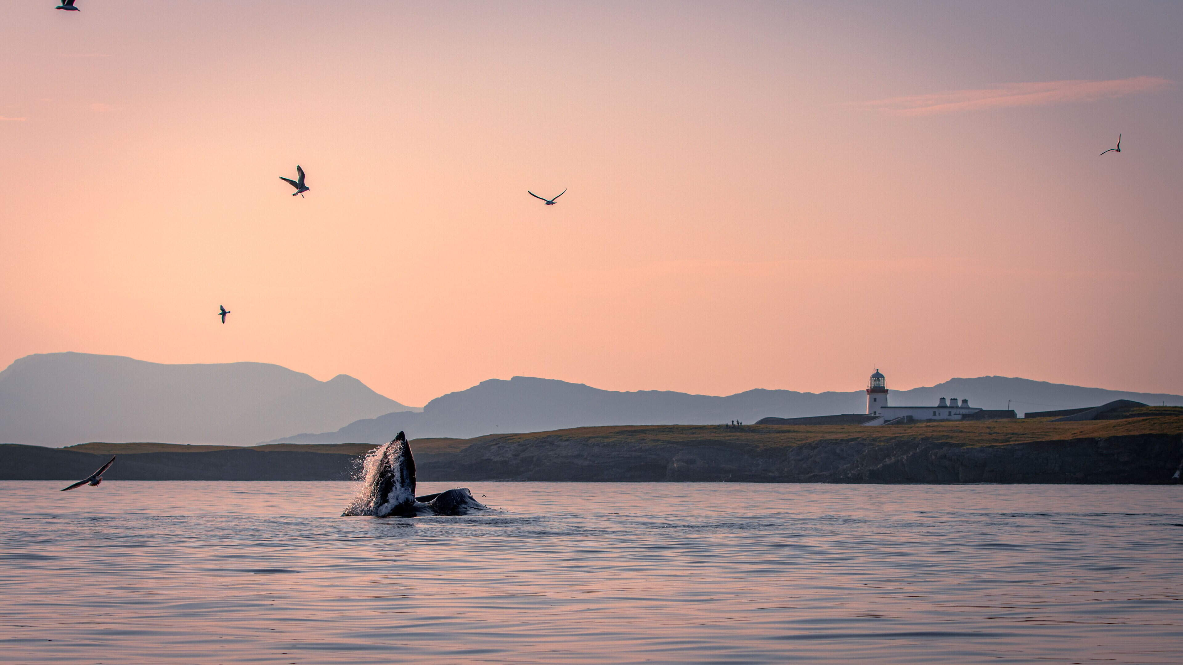 Irish Photographer Wins National Competition