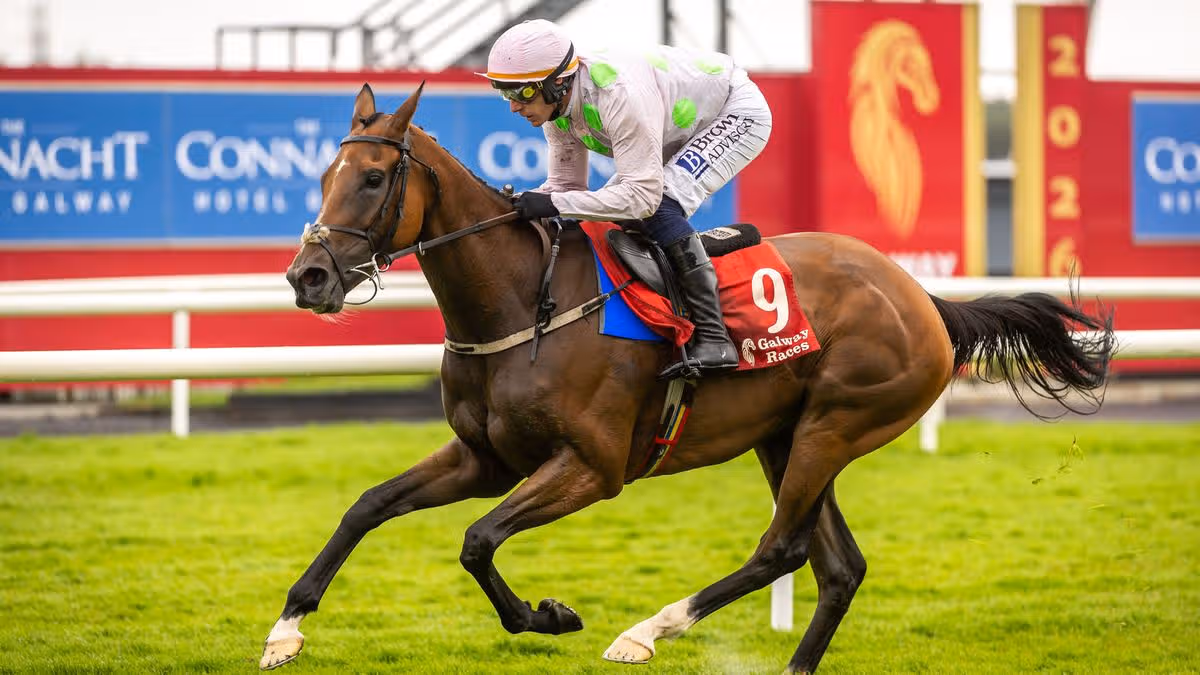 Willie Mullins' Winner Eyes Cheltenham Festival