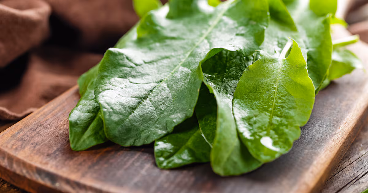 Perennial Vegetables: A Sustainable Gardening Option