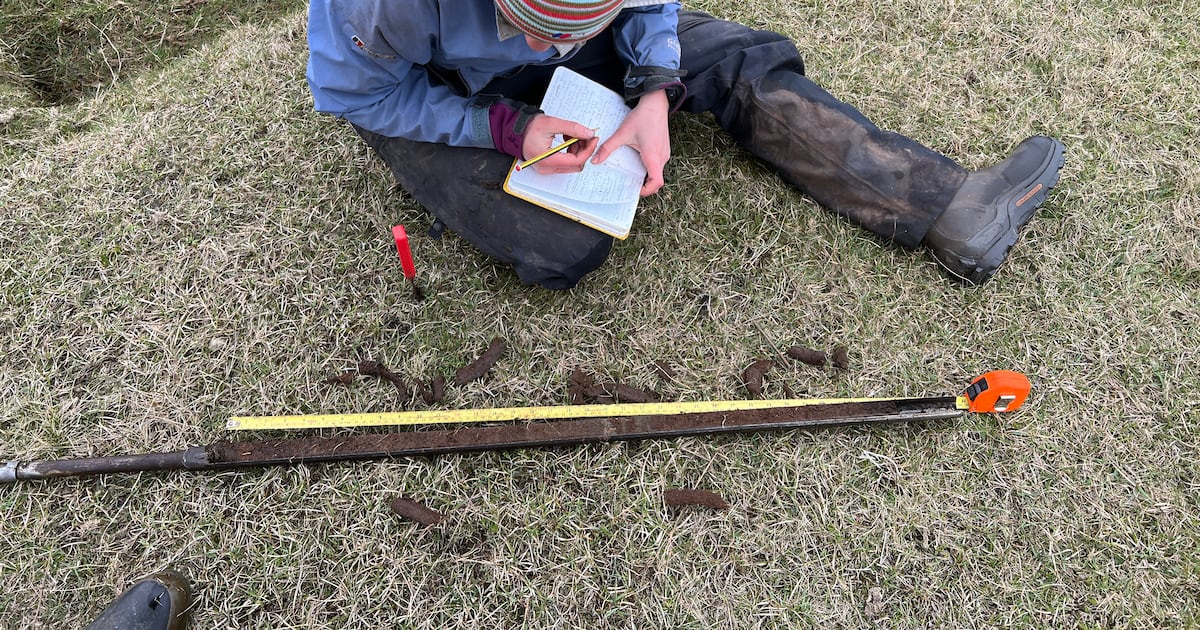 Hebridean Salt Marsh Reveals 2,500 Years of Sea Level Changes