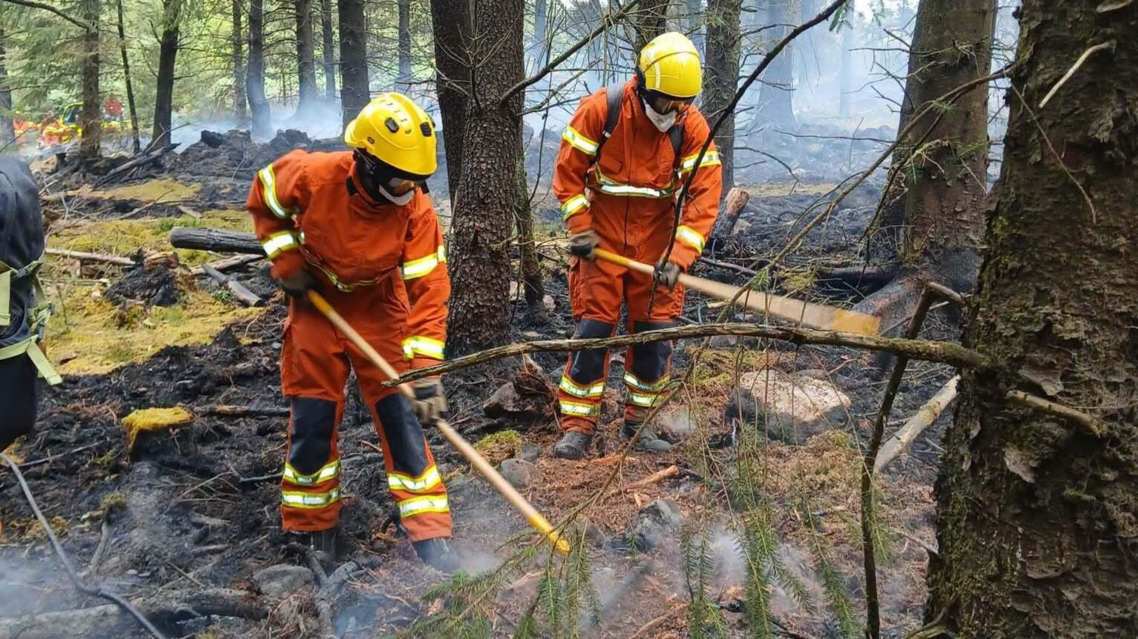 Wildfire Managed in Tipperary's Slievenamon