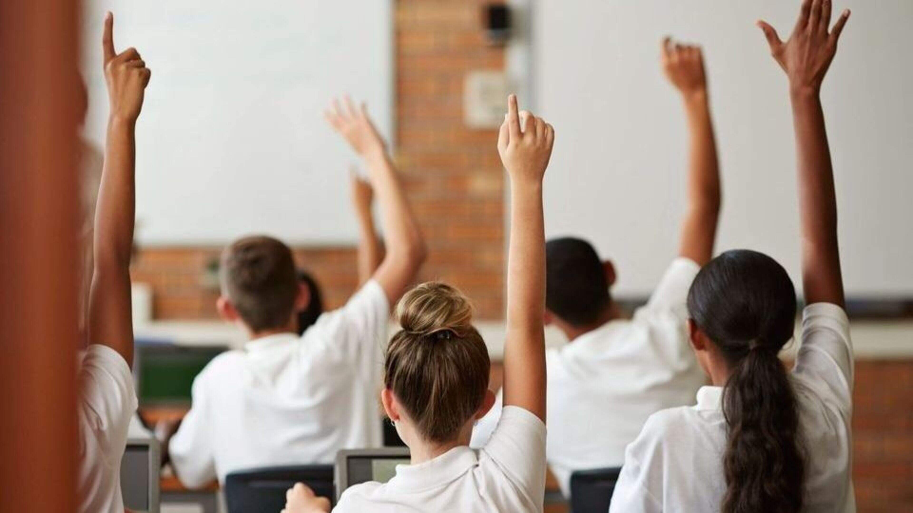 Concerns Over School Overcrowding in Wicklow