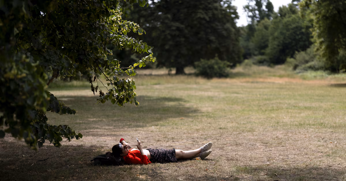Royal Parks Staff Prepare for Upcoming Heatwave
