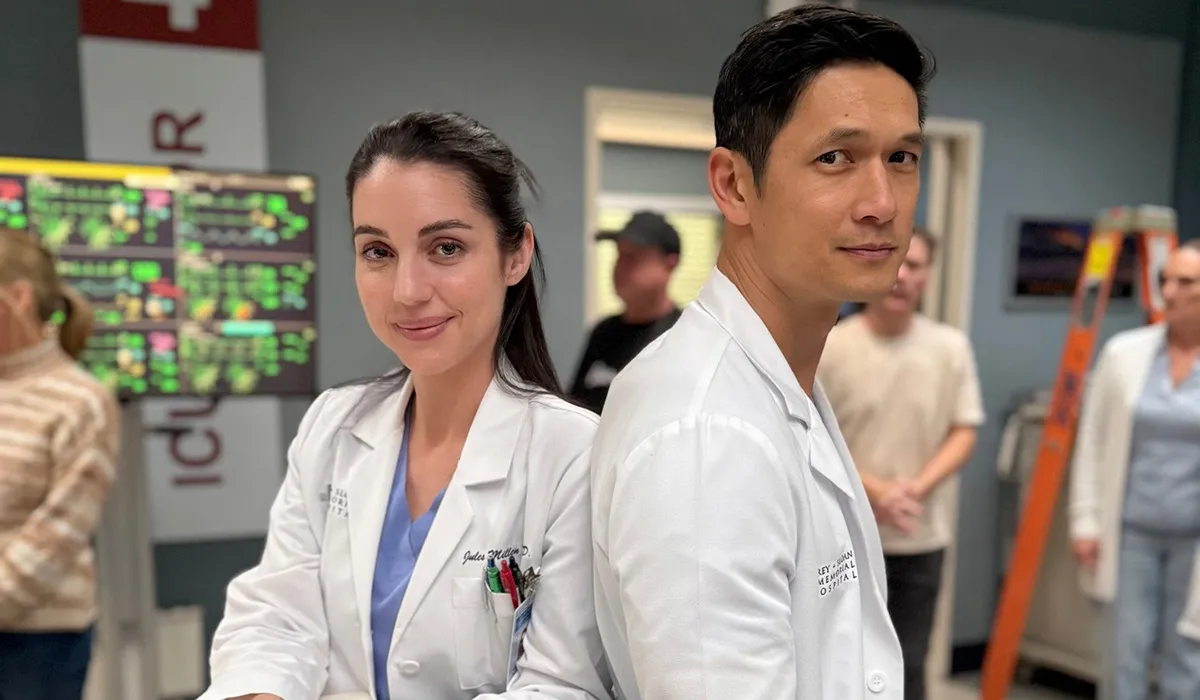 Grey's Anatomy Fans Call for Show to End