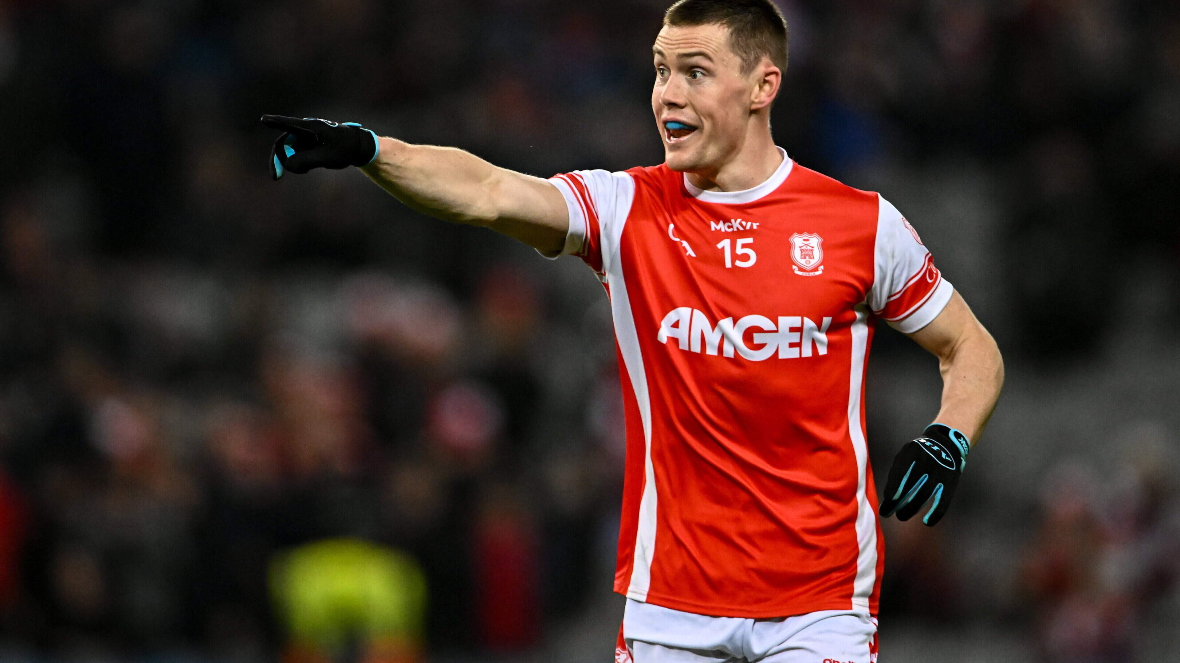 Cuala GAA Acquires New Playing Facilities