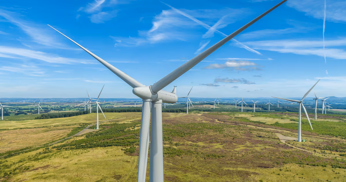 Belfast energy firm wins £100m wind farm contract