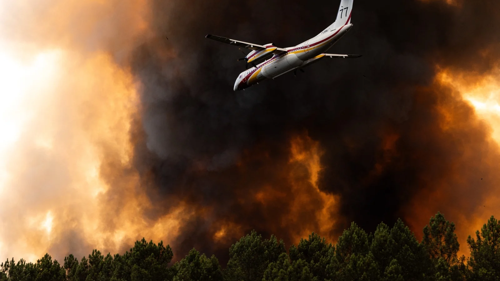 France and Spain Battle Severe Wildfires