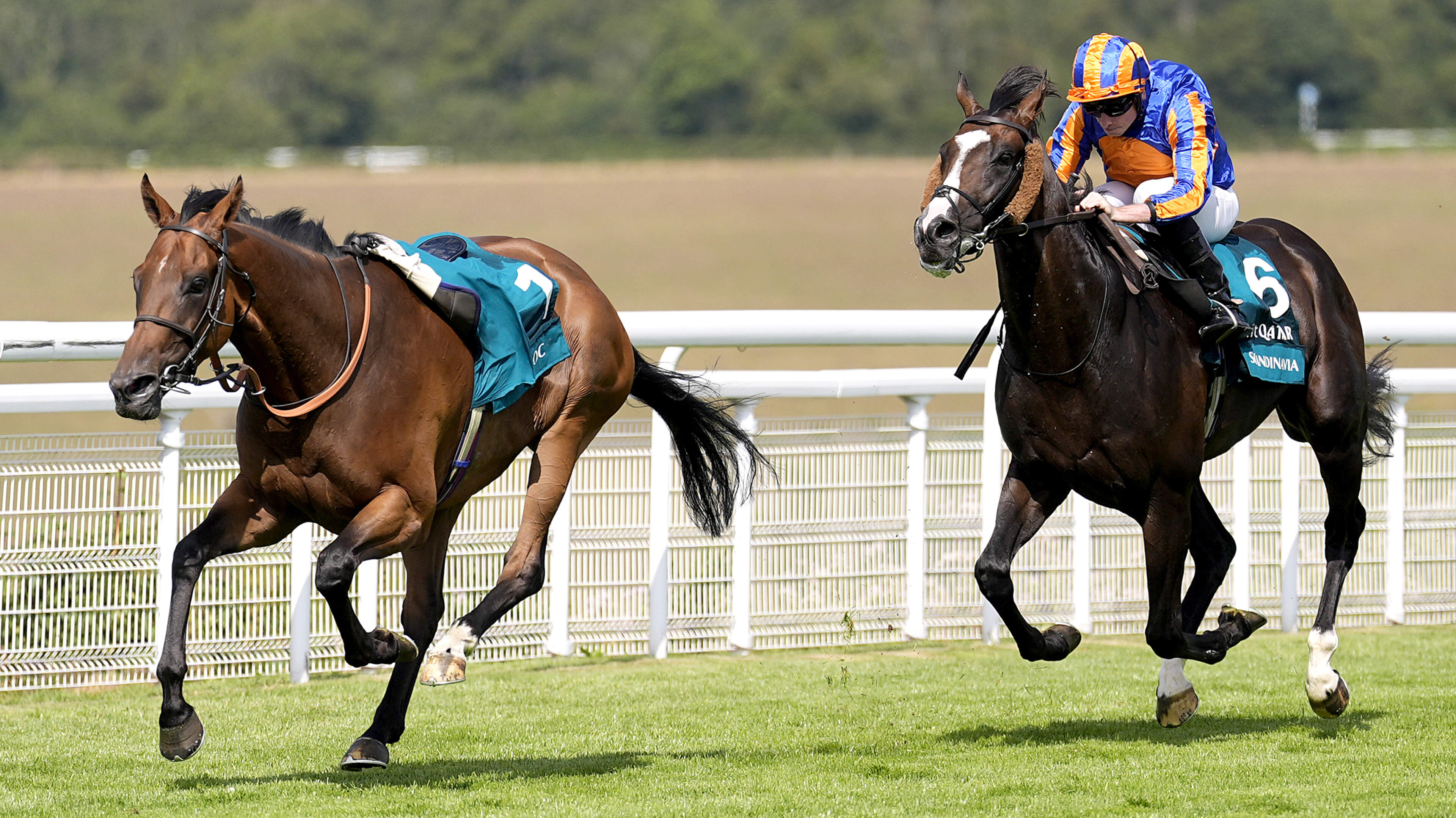 Scandinavia Wins Al Shaqab Goodwood Cup Again