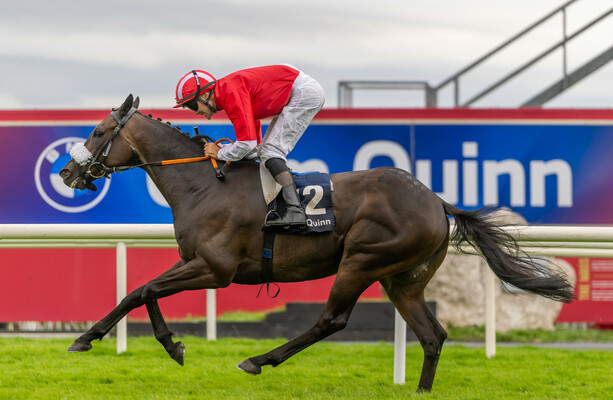 Orandi Wins Colm Quinn BMW Mile Handicap