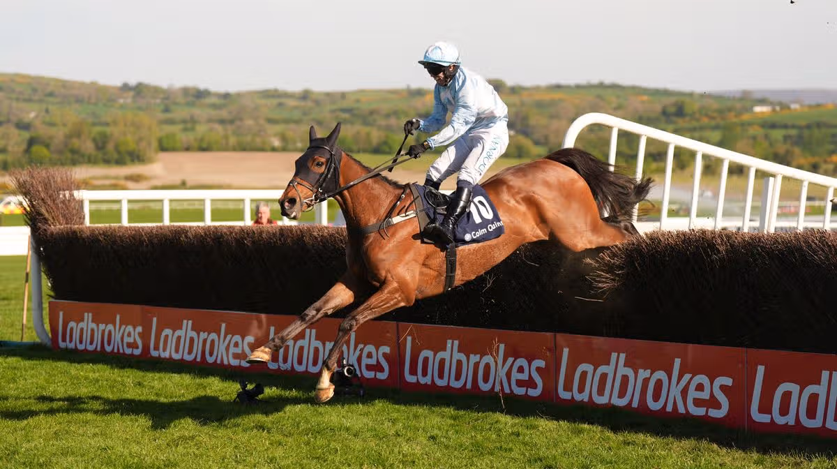 Tote Galway Plate Features Strong Contenders