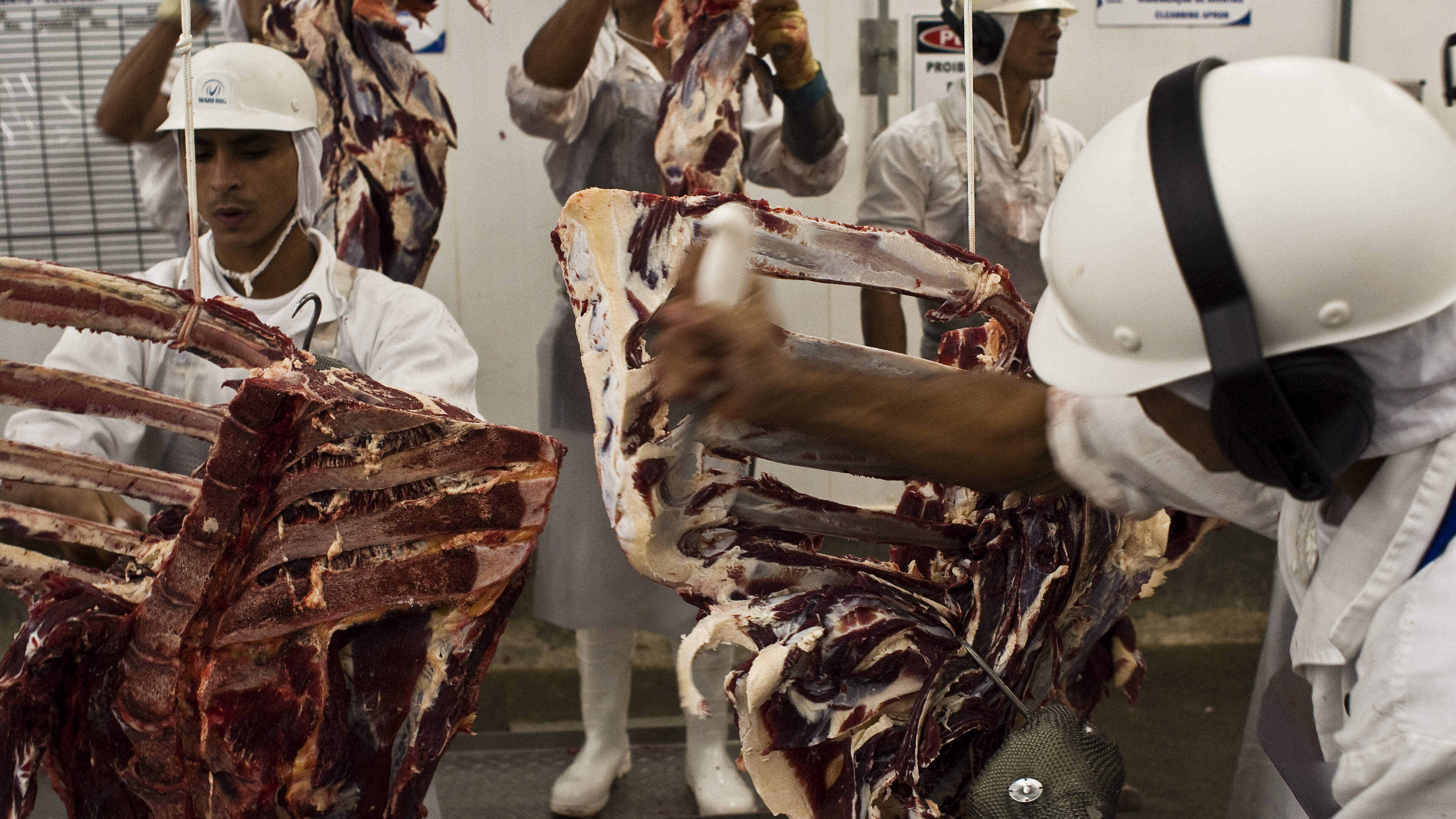 Brazil Works to Prevent EU Animal Product Ban