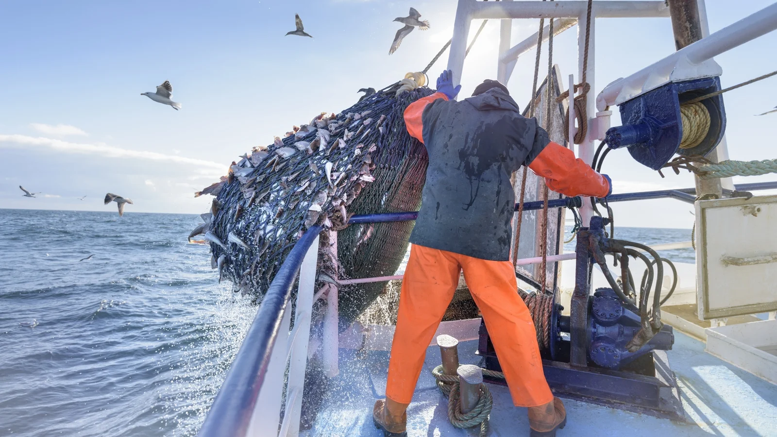 Fishing Industry Faces Crisis Without Government Support