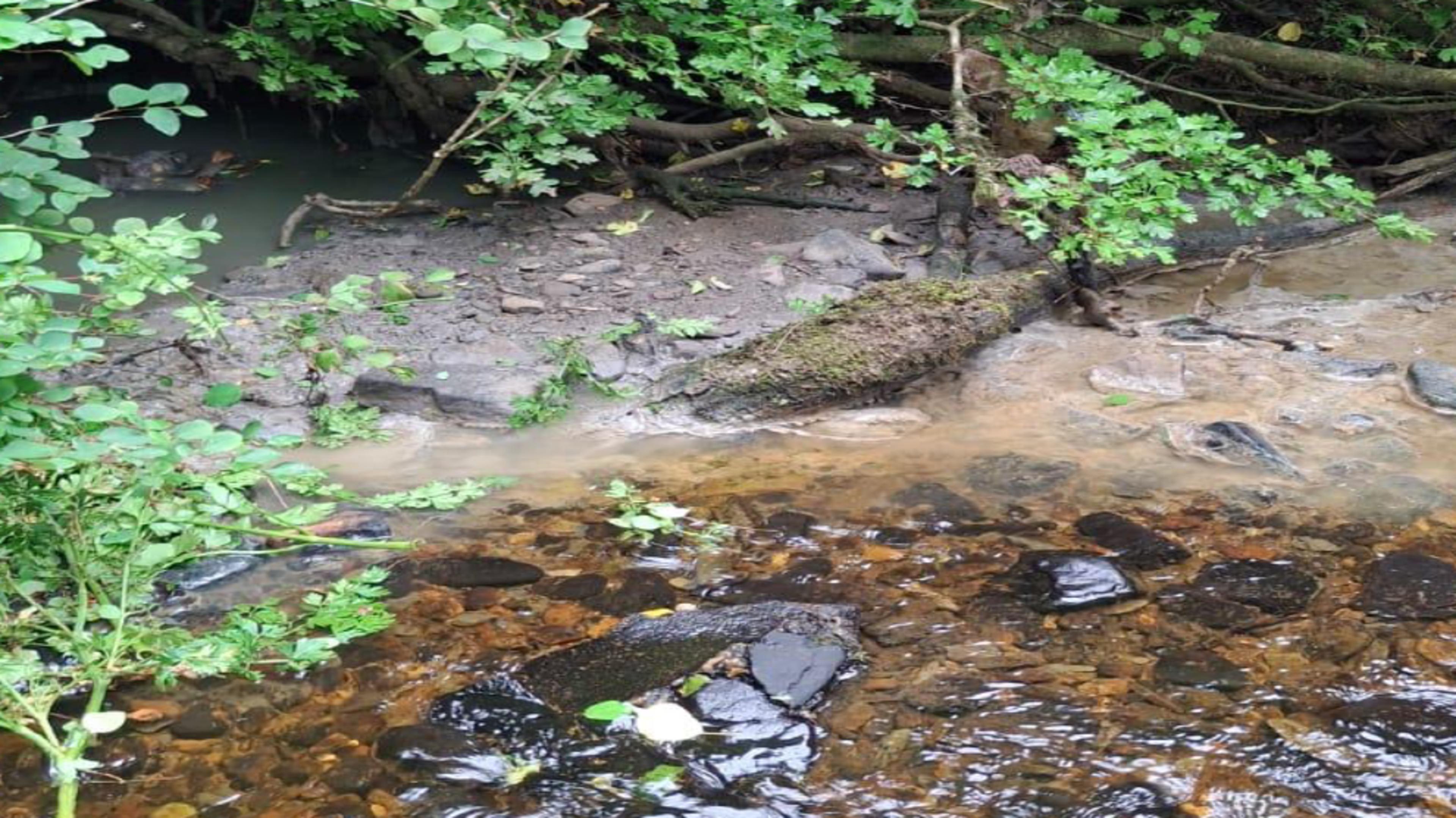 Knocknagoshel Community Initiates Wastewater Project