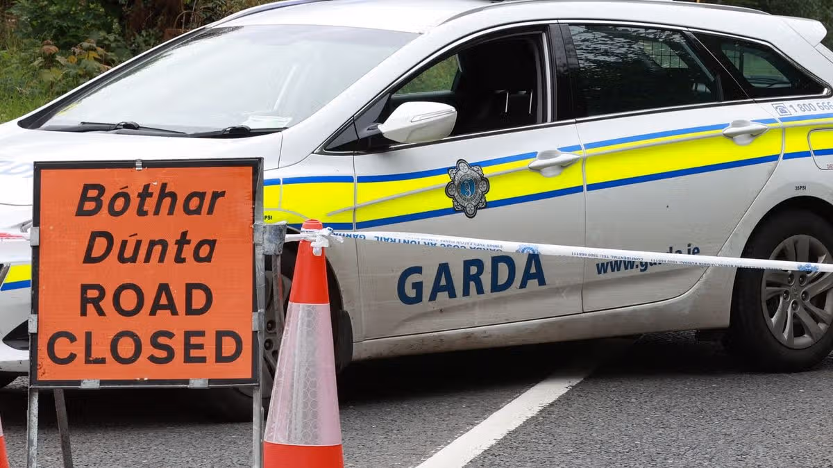 Motorcyclist dies in Dublin early-morning crash