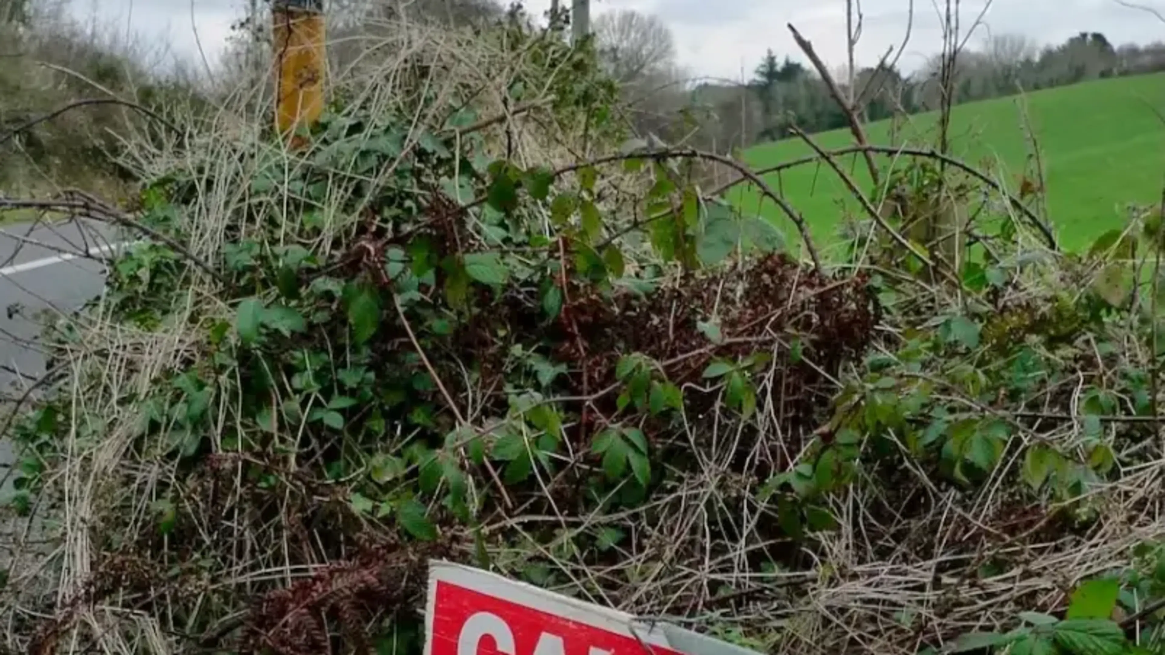 UNESCO Recognition Sought for Road Bowling in Ireland