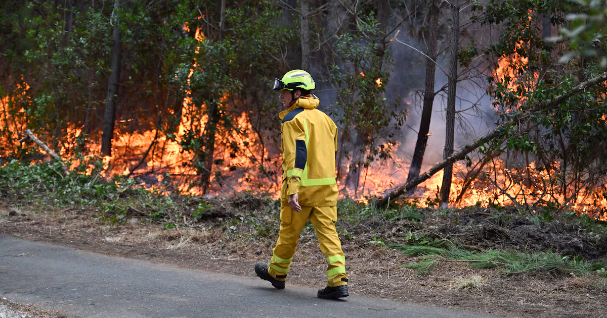 Thousands of French wildfire evacuees return home
