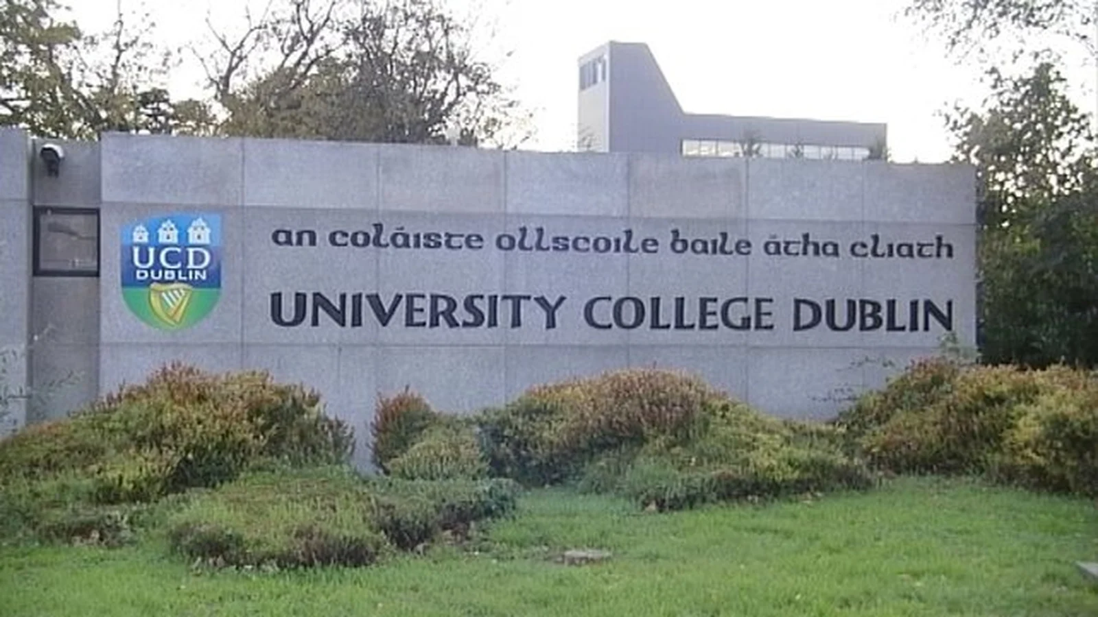 UCD student withdraws appeal against High Court decision