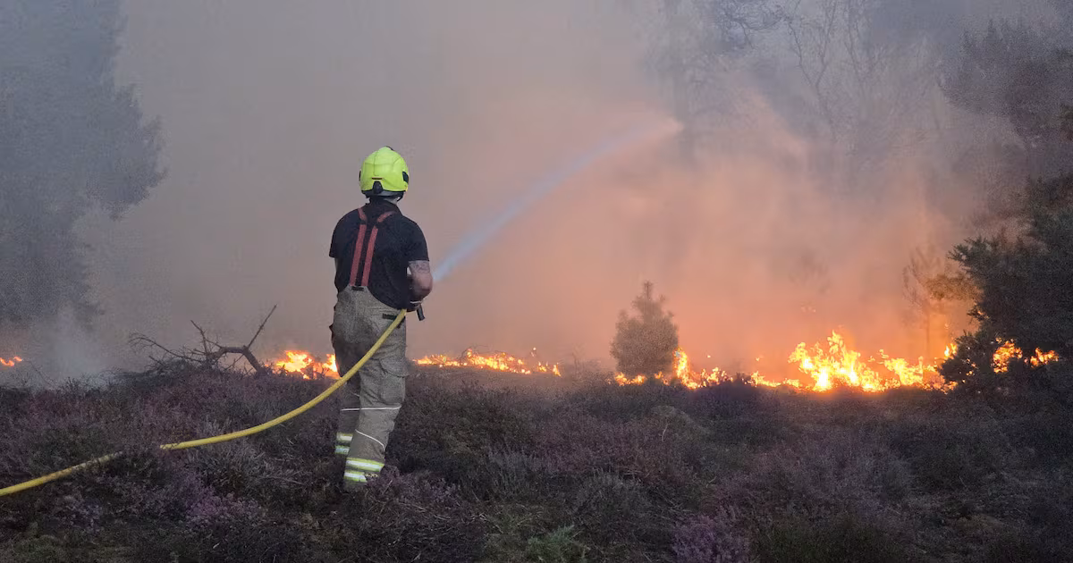 Suffolk holiday park evacuated due to wildfire