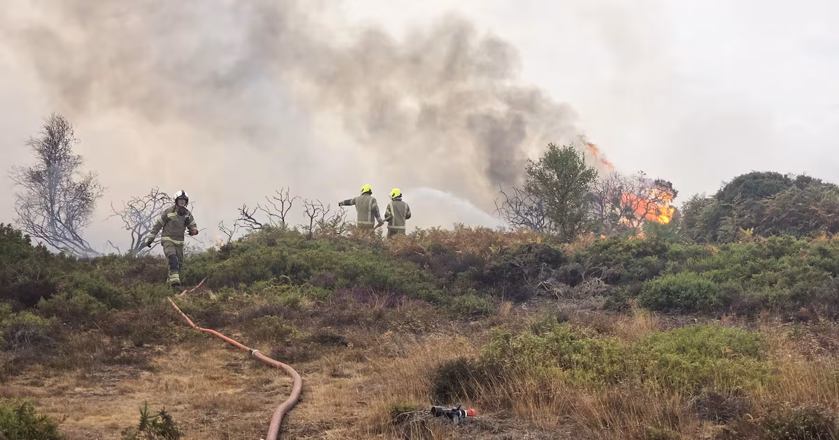 Burnham supports crews battling Suffolk wildfire