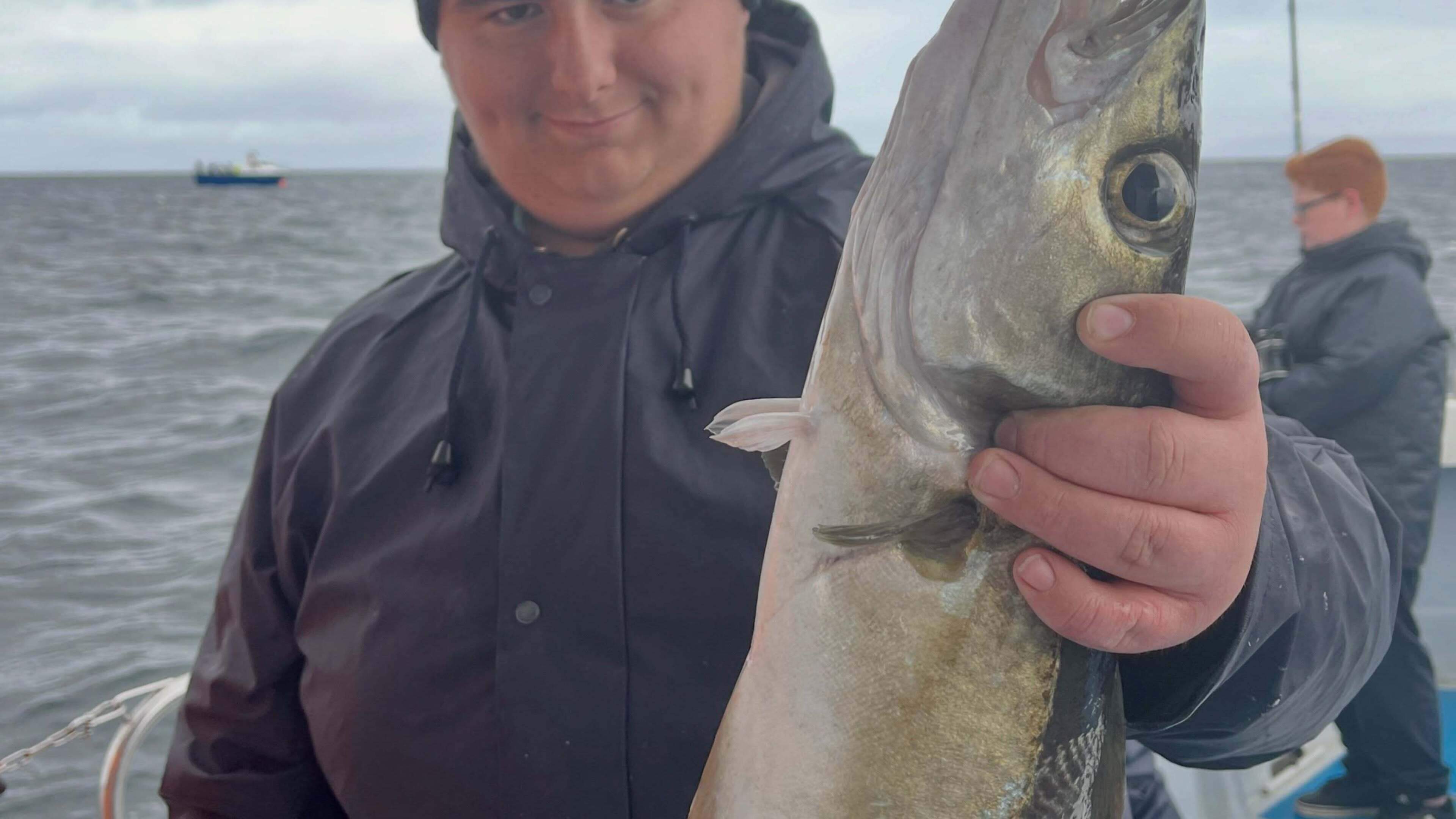 Fisherman Finds Shark-Eaten Pollock in Galway