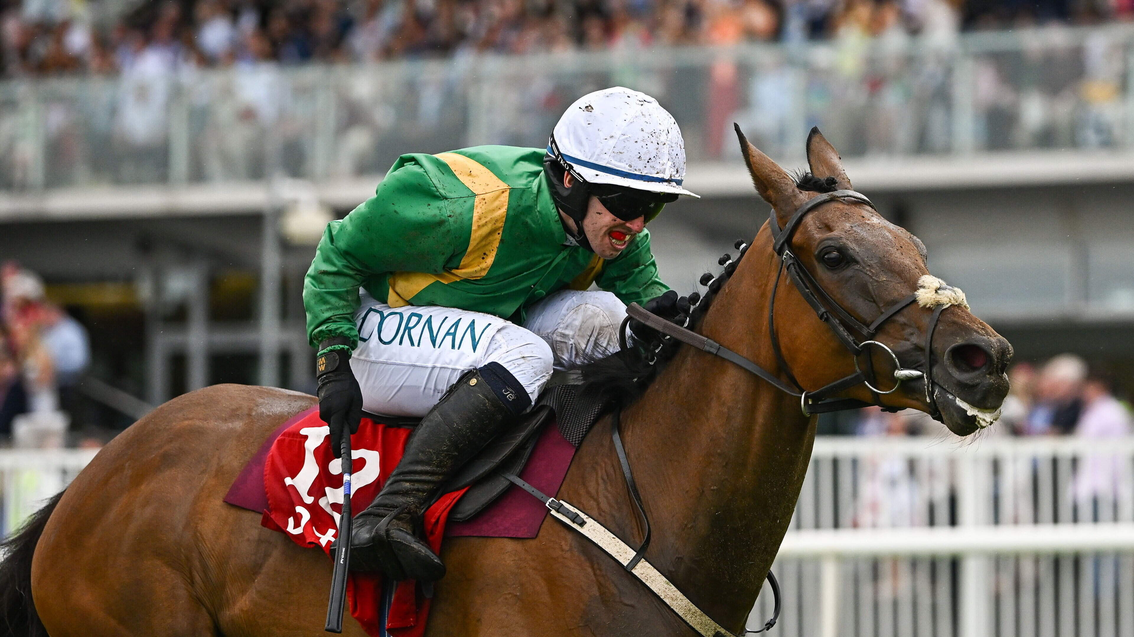 Talk In The Park Aims For Guinness Beginners Chase