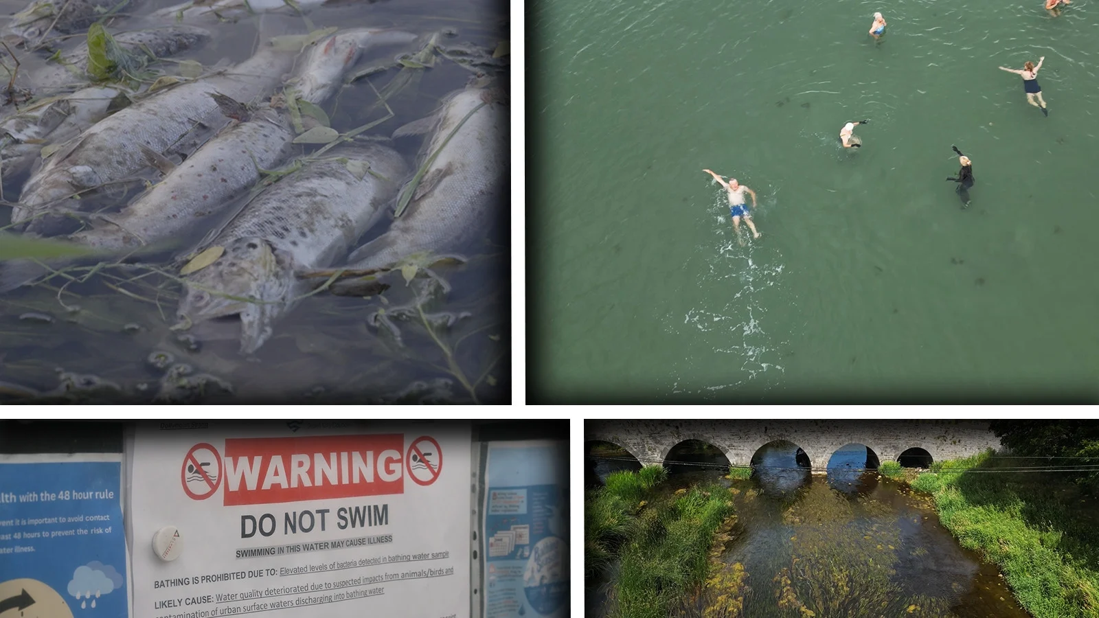 EPA Reports Decline in Irish River Quality