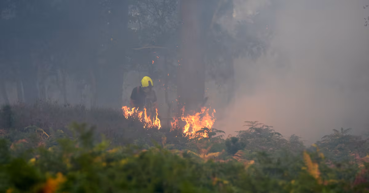 Firefighters Make Progress on Suffolk Wildfire