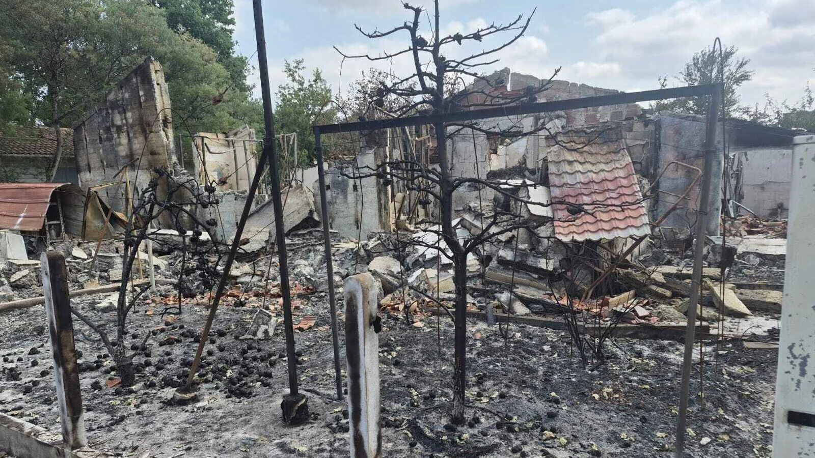 French Town Le Porge Devastated by Wildfires