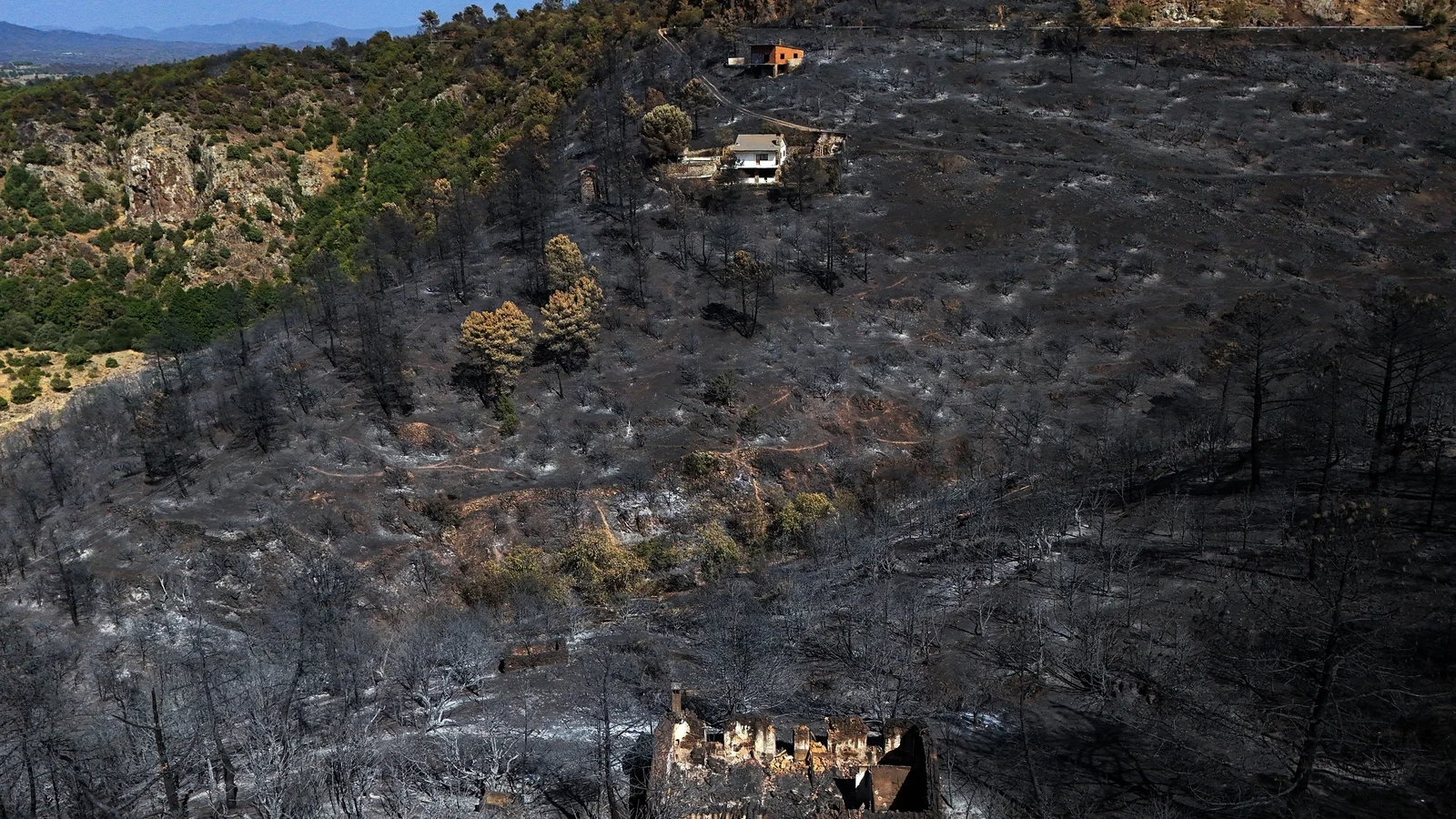 Wildfires in France and Spain Cause Air Pollution