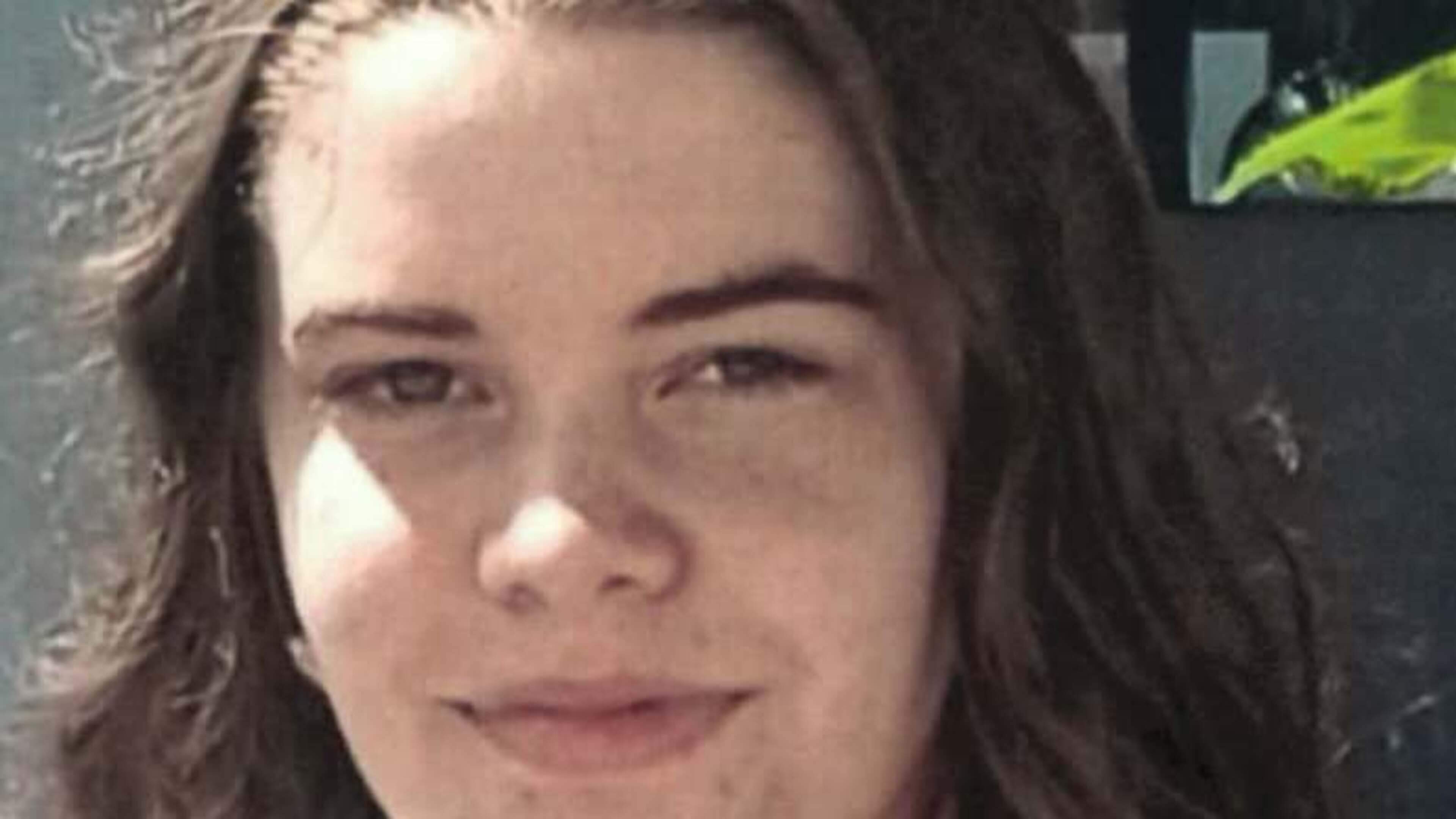 Gardaí appeal for missing Wexford teen