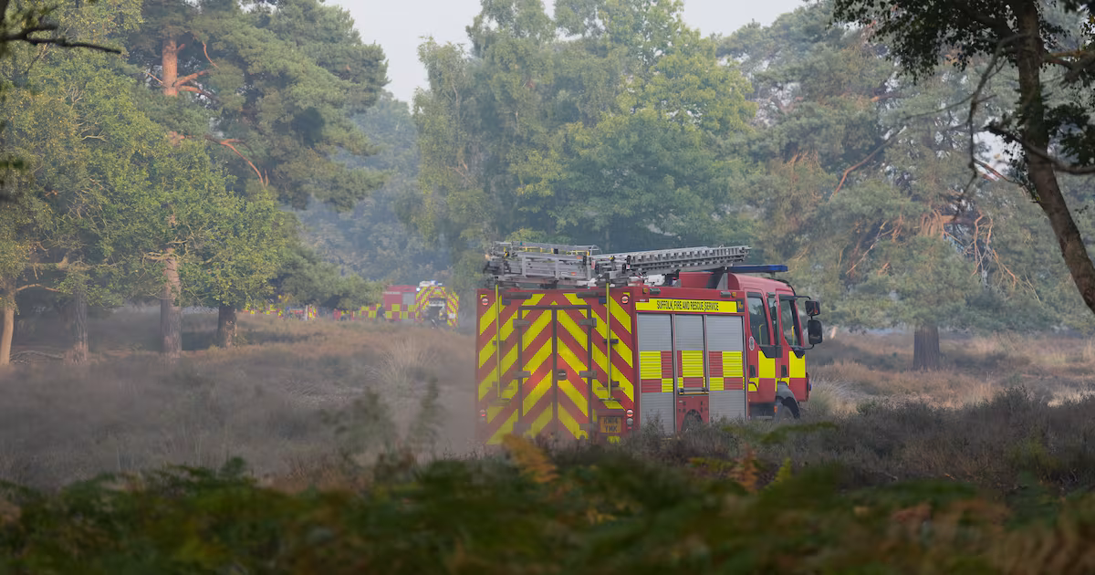 Wildfire near Sizewell nuclear power station stabilised
