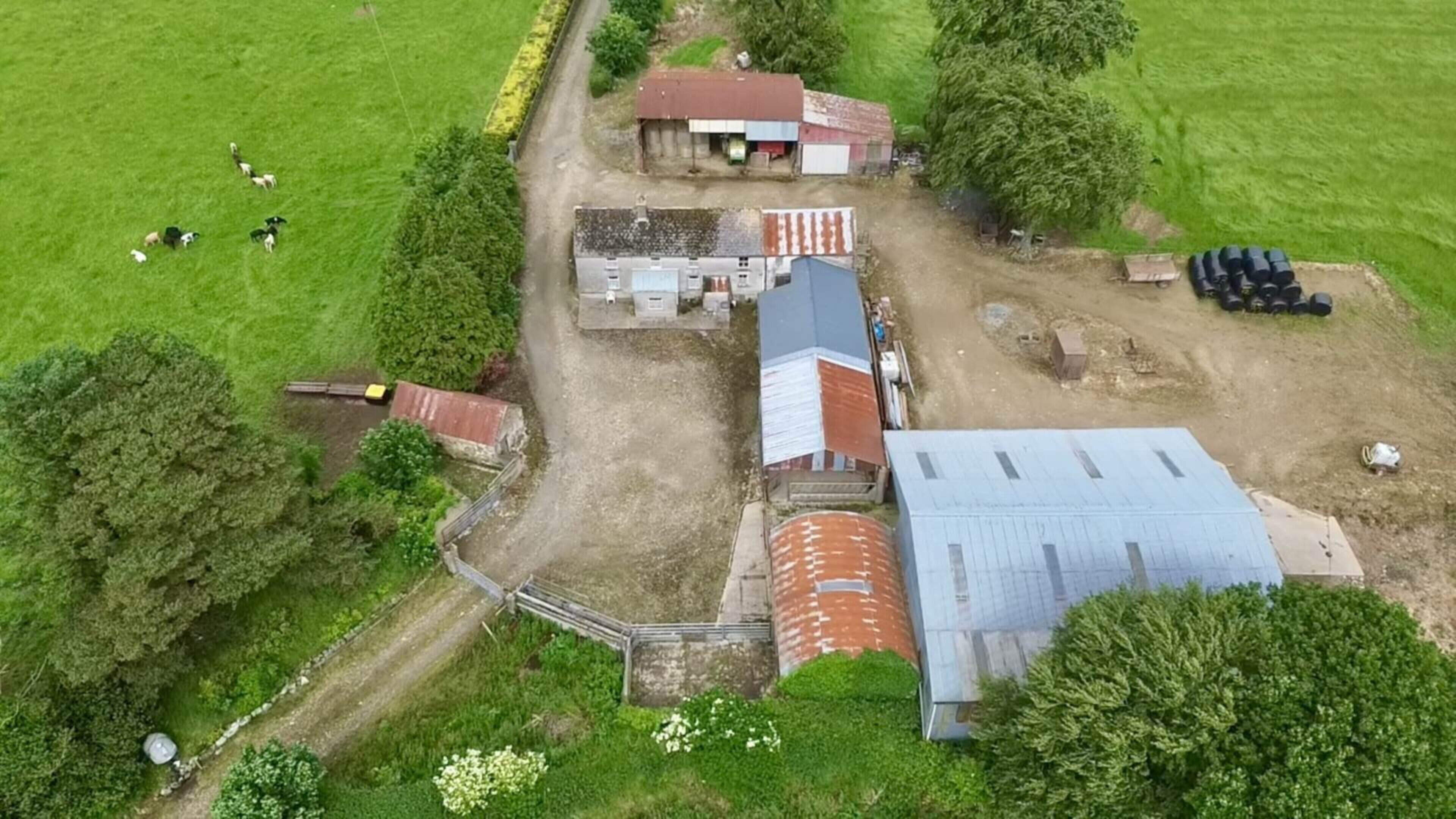 92-Acre Farm Sold for €1.73 Million