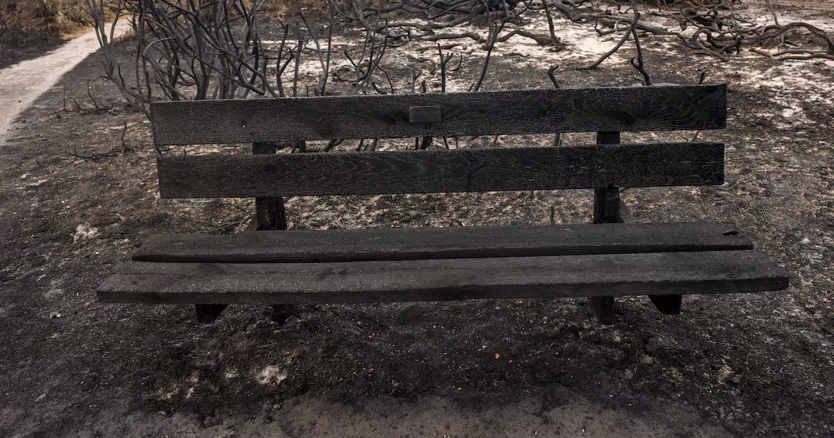 Suffolk Wildfire Evacuees Allowed Brief Return