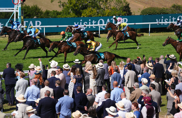 American Affair Wins King George Qatar Stakes