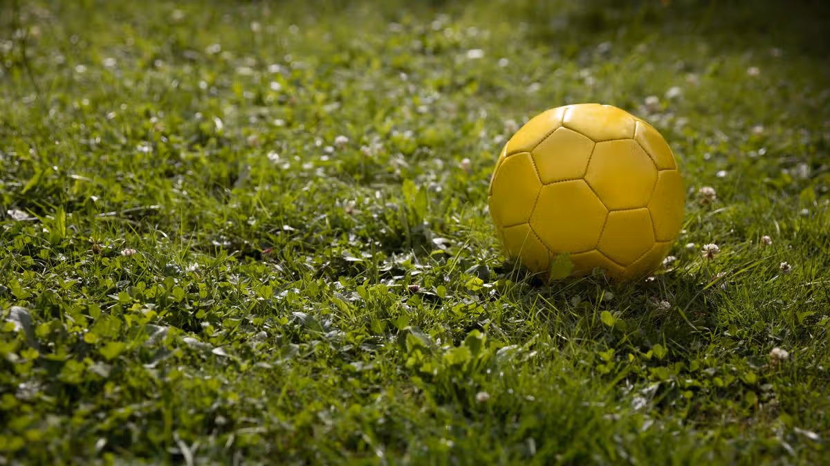 Neighbor's Football Retrieval Raises Safety Concerns