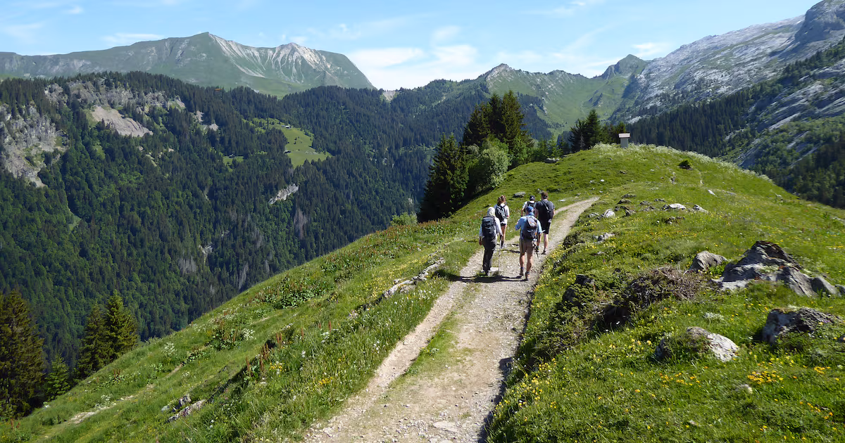 Hiker Spots Rare Vulture in French Alps