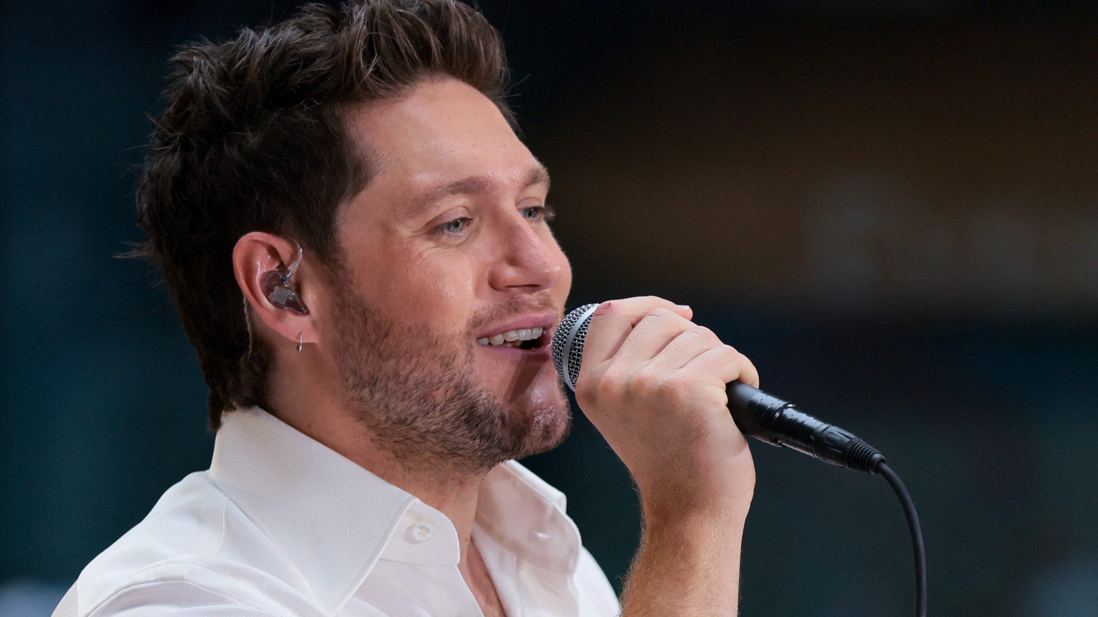 Niall Horan's Neon Haze Music Firm Profits