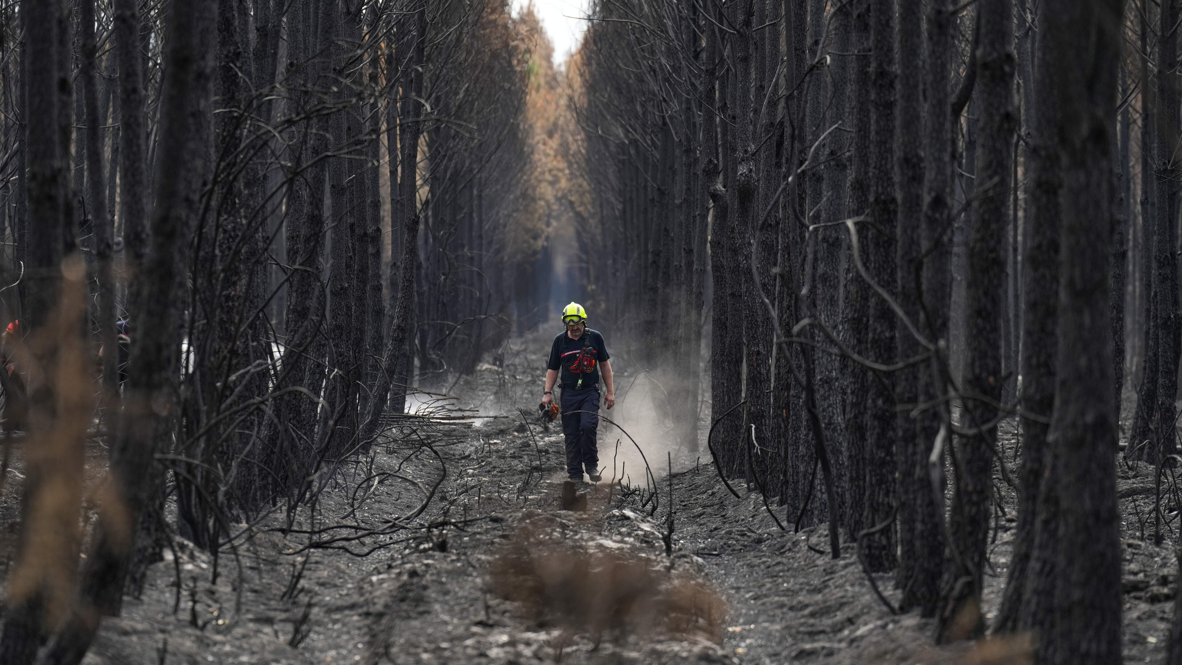 Trip to Bordeaux Highlights Climate Change Reality
