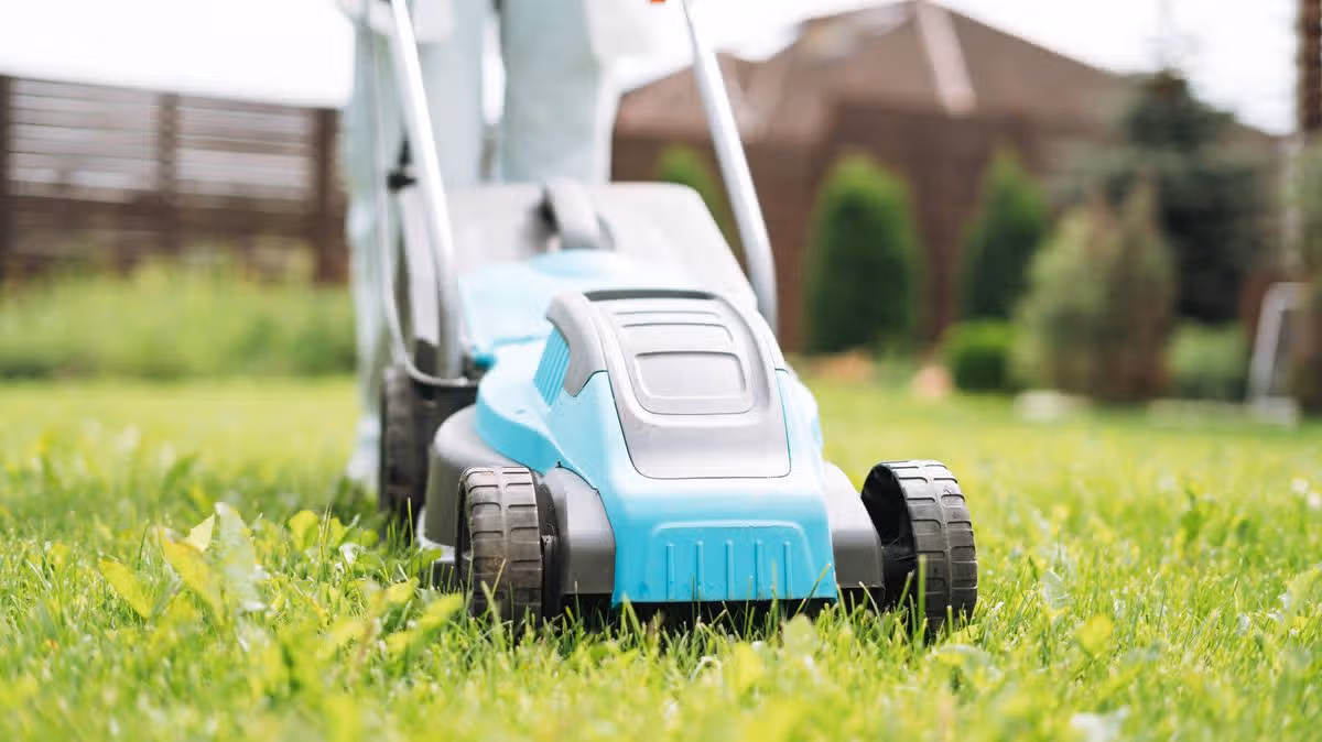 Revive Brown Lawns with Simple Mowing Change