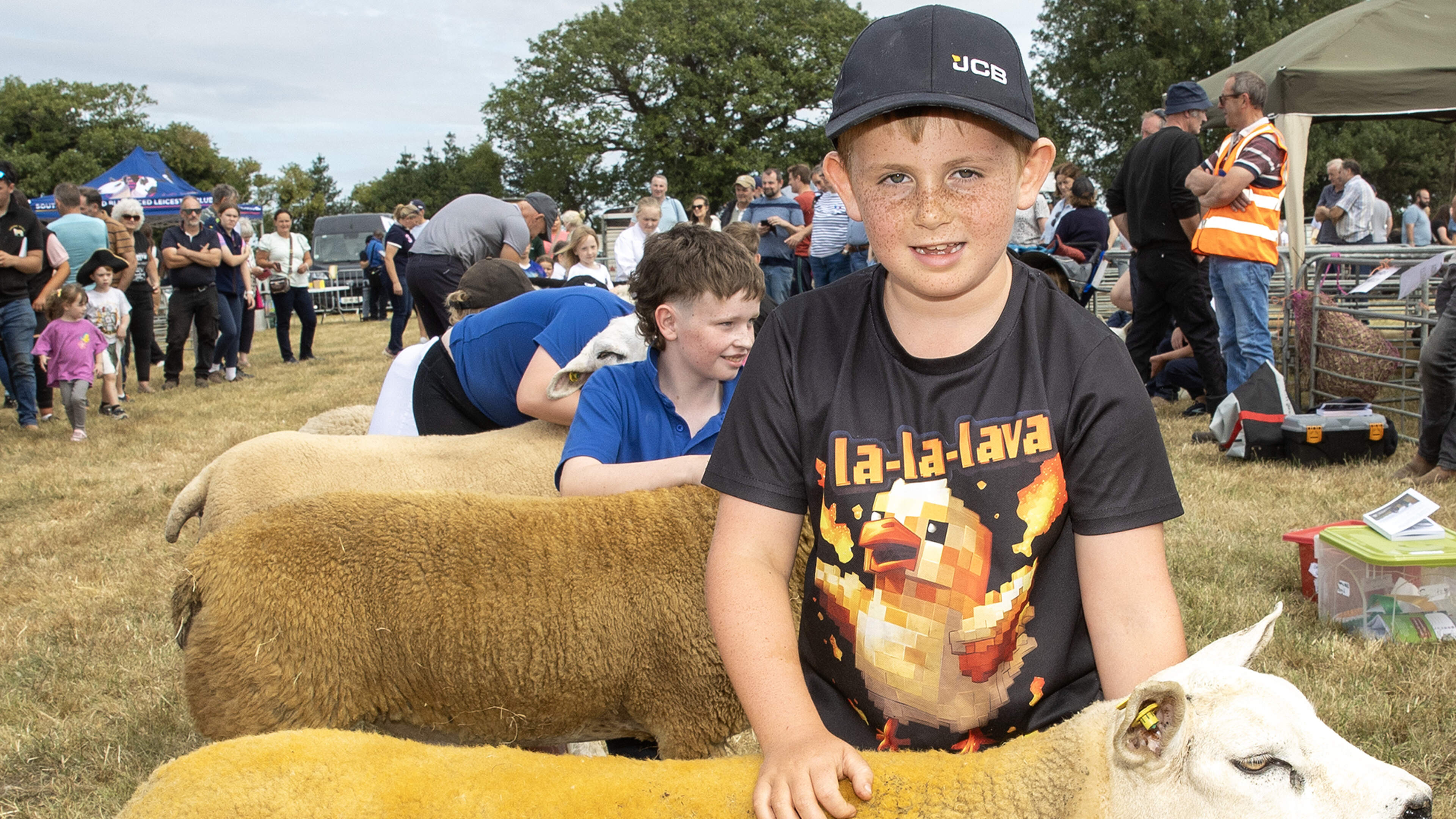 Thousands Attend Tinahely Agricultural Show 2026