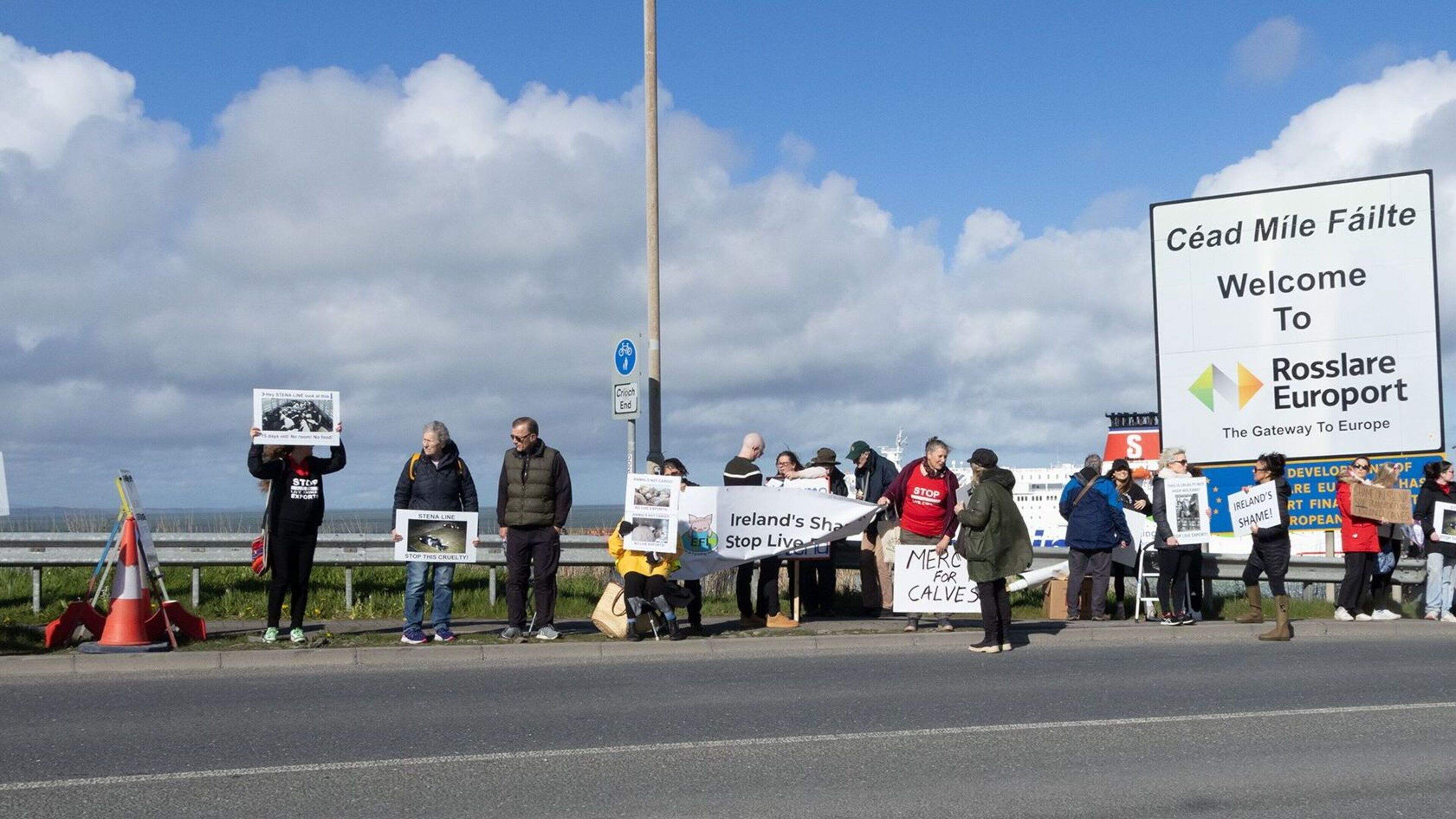 Brittany Ferries reverses live export decision
