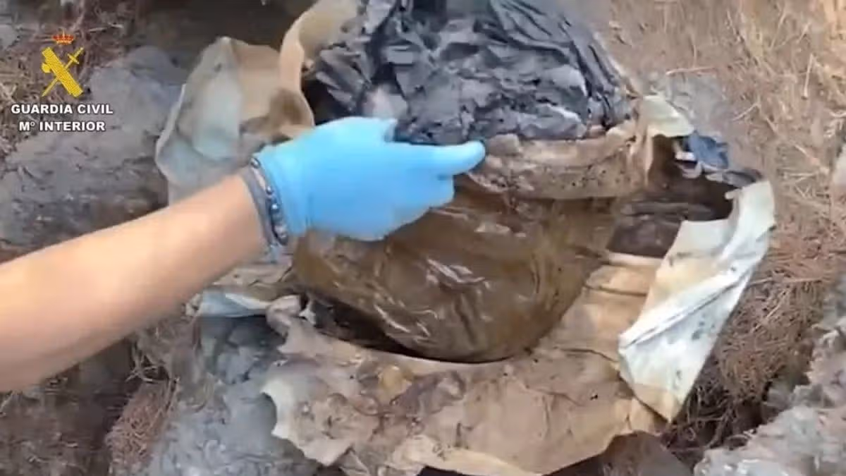 Man Confesses to Killing and Dismembering Friend